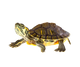 Teknősök