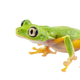 Békák