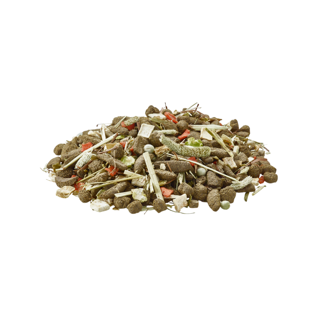 Versele-Laga Nature Degu 700g
