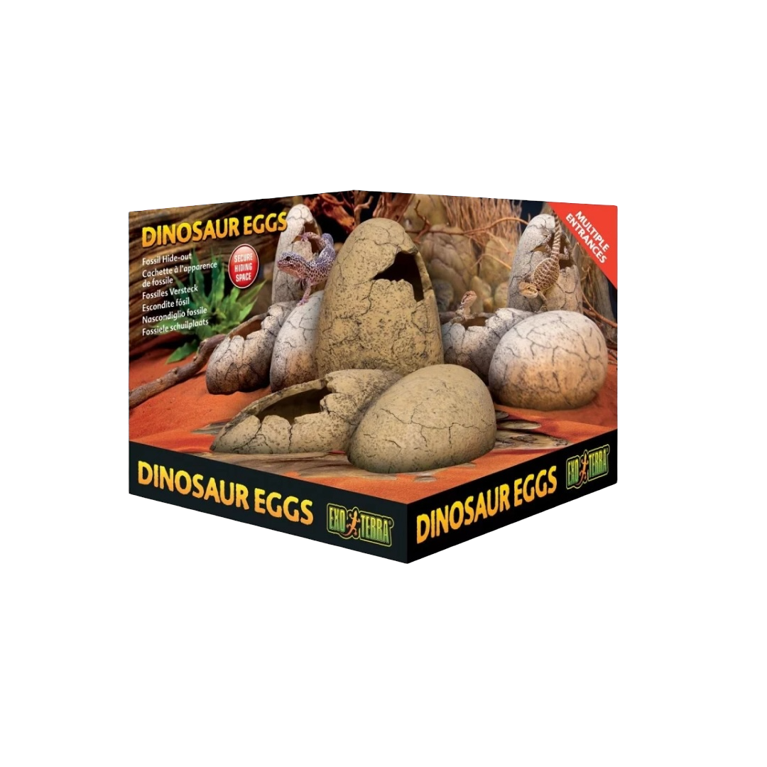 Exo Terra Dinoszaurusz Tojások