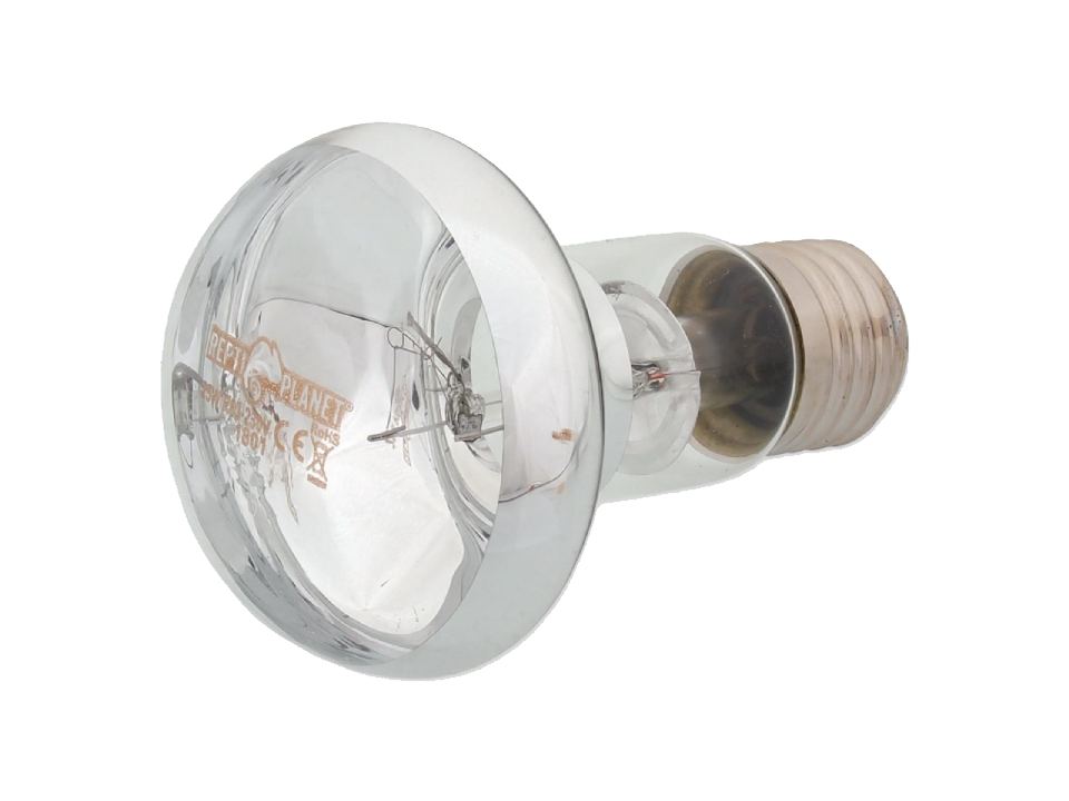 Repti Planet Daylight Basking Spot 25 W
