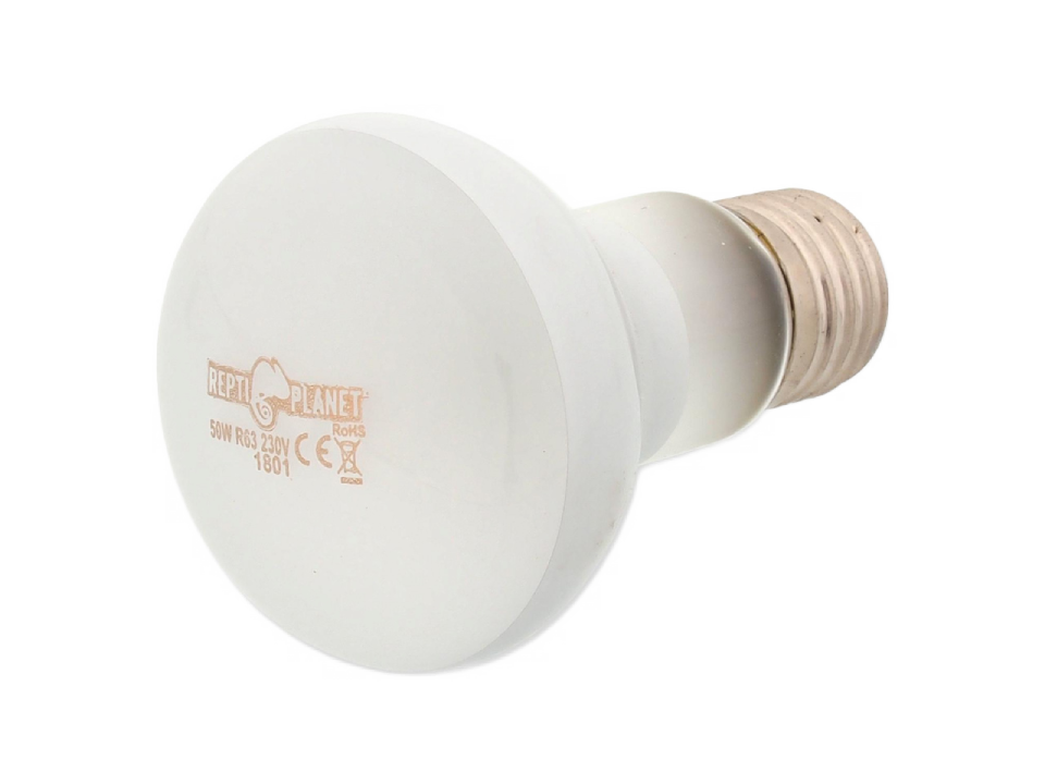 Repti Planet Daylight Frosted 75 W