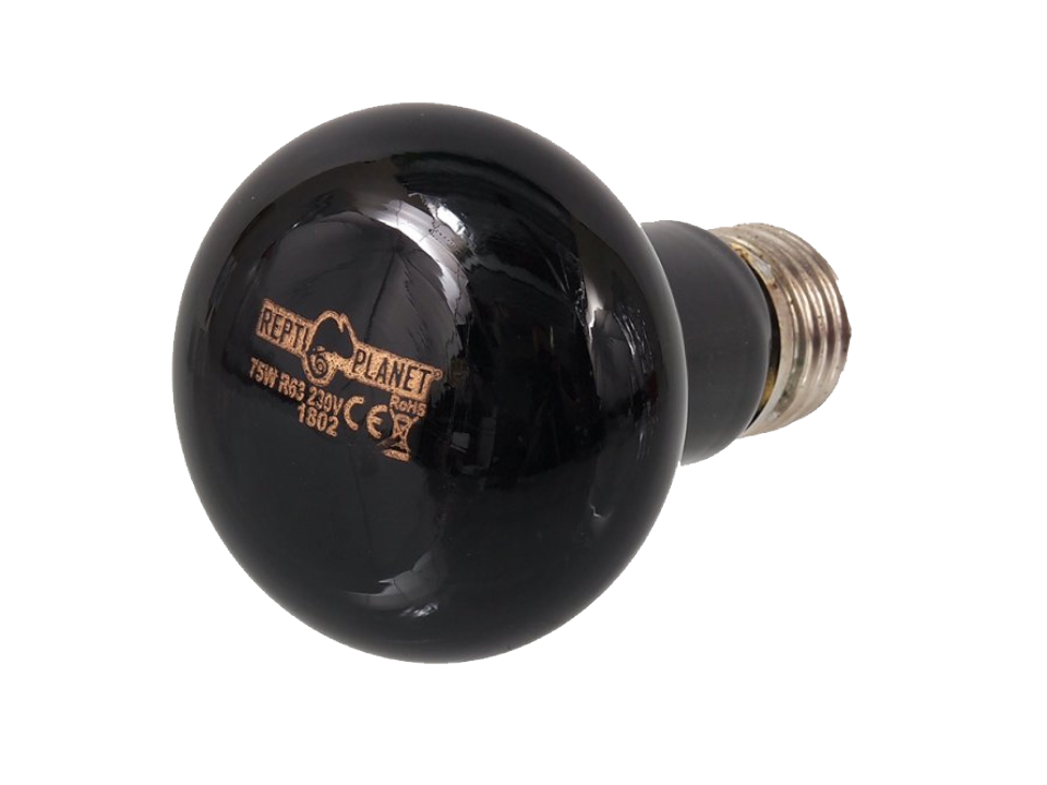 Repti Planet Night Heat 75 W