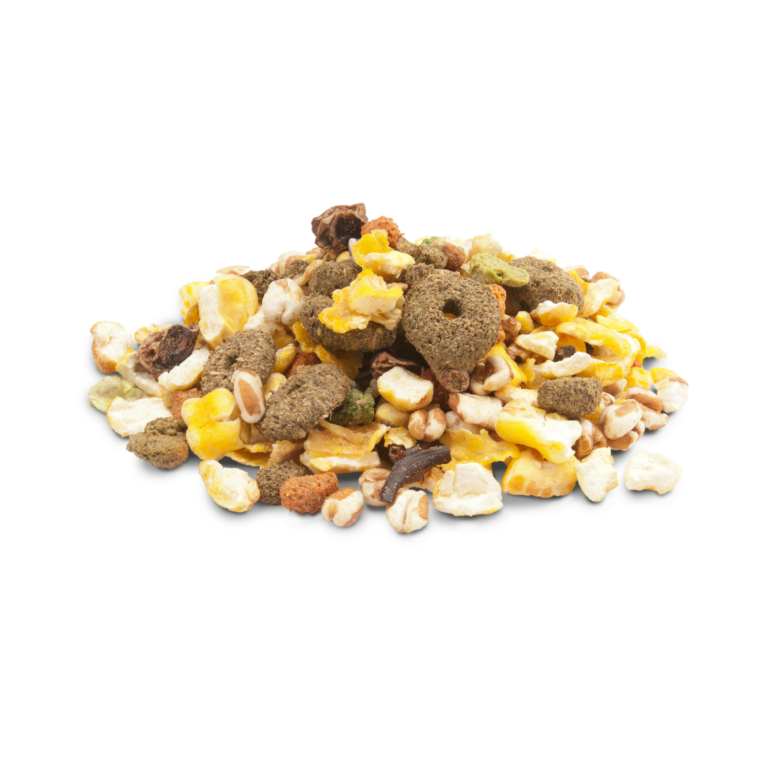 Versele-Laga Crispy Muesli Snack Popcorn 650g