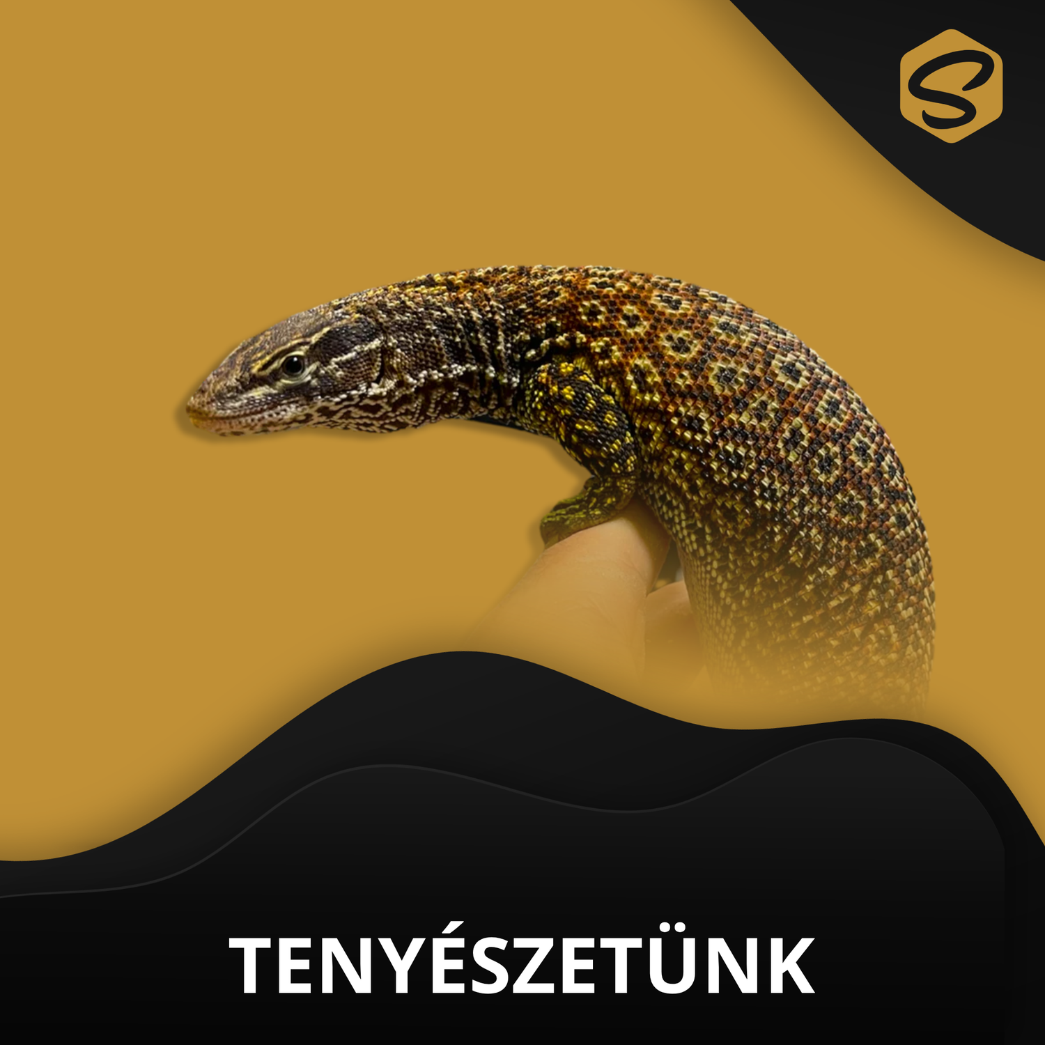 Tenyészetünk