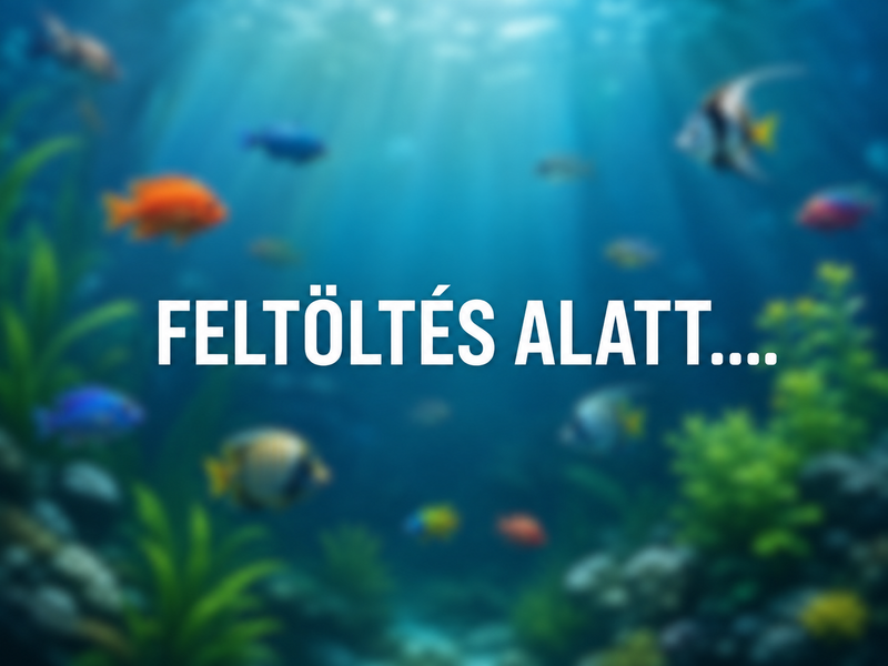 Feltöltés alatt....