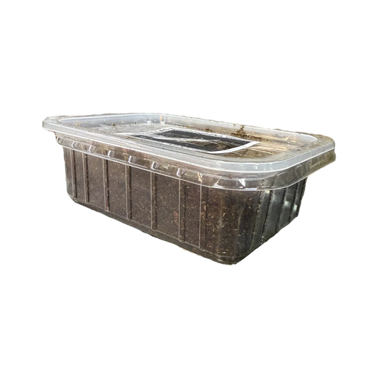 Trópusi Ugróvillás - 300 ml