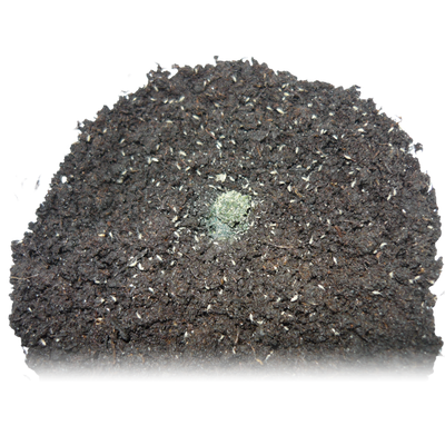 Trópusi Ugróvillás - 300 ml