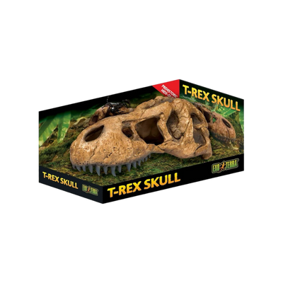 Exo Terra T-Rex Koponya