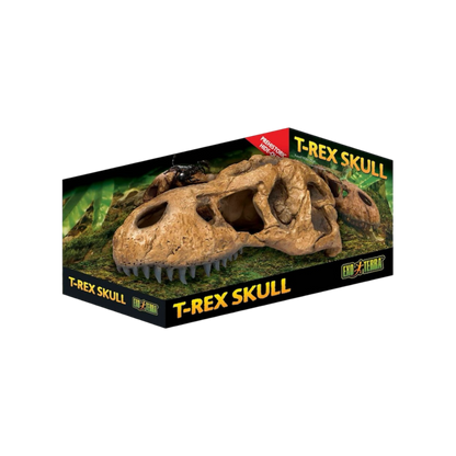 Exo Terra T-Rex Koponya