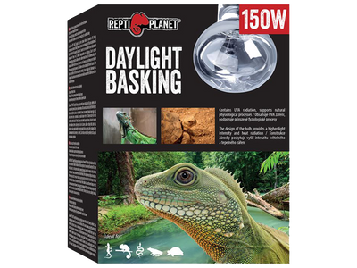 Repti Planet Daylight Basking Spot 150 W