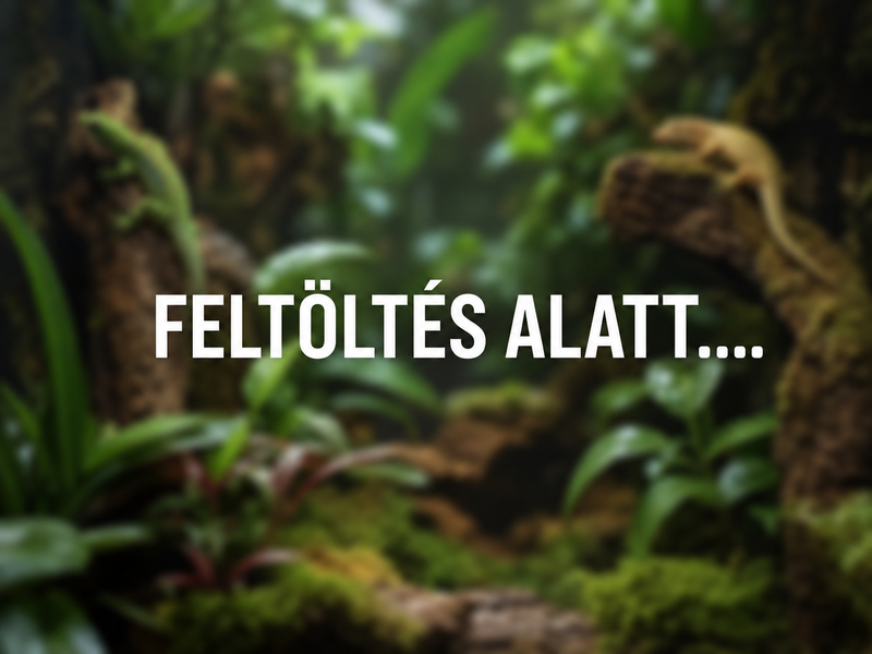 Feltöltés alatt....