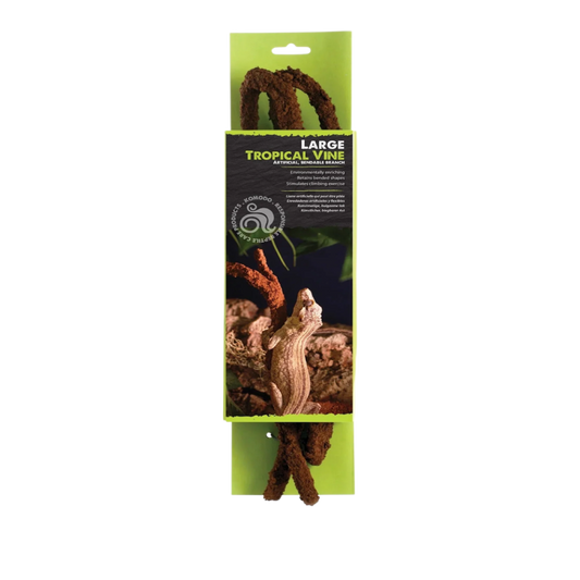Komodo Tropical Vine branch | L