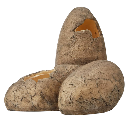 Exo Terra Dinoszaurusz Tojások