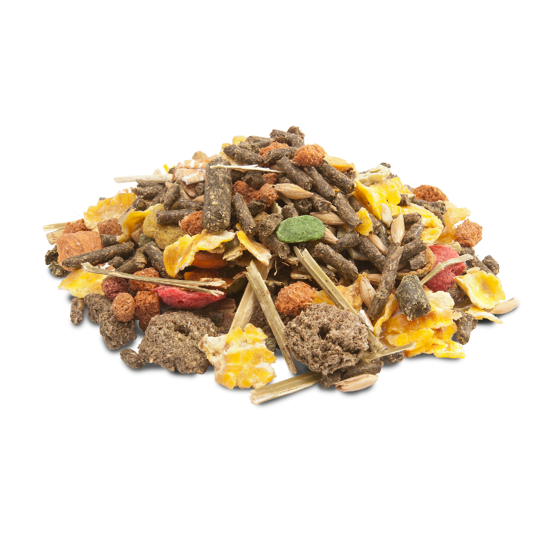 Versele-Laga Crispy Muesli Tengerimalac 1kg