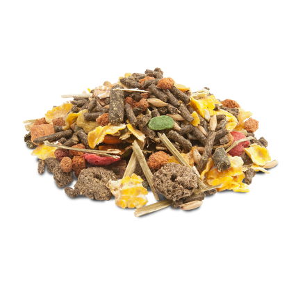 Versele-Laga Crispy Muesli Tengerimalac 1kg